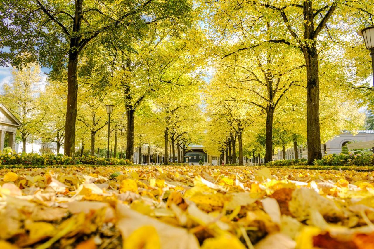 Laudensacks Parkhotel & Retreat 바트키싱엔 외부 사진